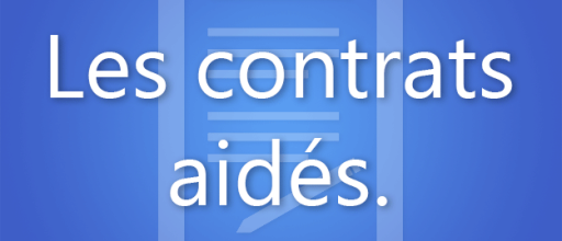 Contrats aidés : Denis MERVILLE reçu par la Préfète